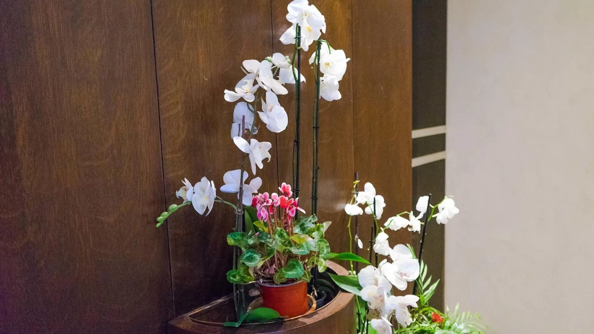 Disciplini Apartment A 5 Min Dal Duomo 米兰